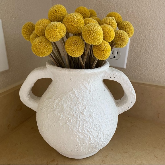 10 STEMS Dried Flowers Craspedia Billy Balls - Picture 10 of 11